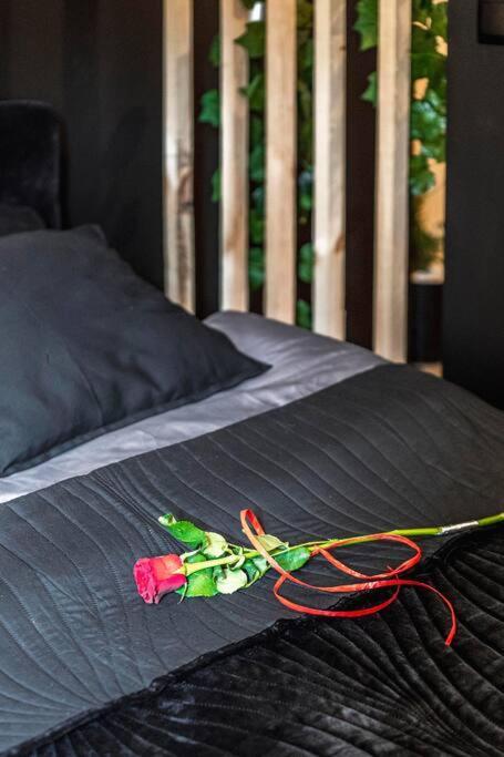 Krakowskie30 Loft1 Deptak Lublin Buitenkant foto